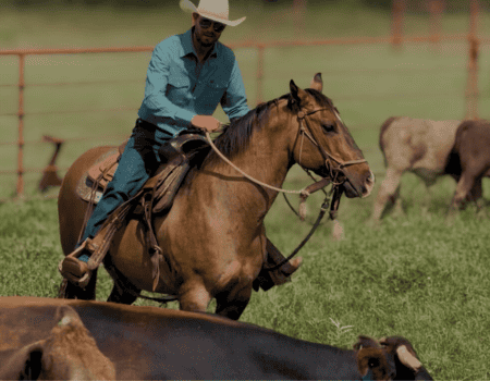 Man riding a horse at Wildcatter Ranch with cattle in the background.